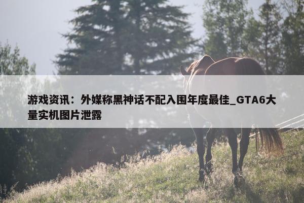 游戏资讯：外媒称黑神话不配入围年度最佳_GTA6大量实机图片泄露