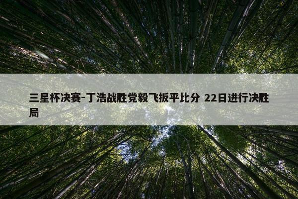 三星杯决赛-丁浩战胜党毅飞扳平比分 22日进行决胜局