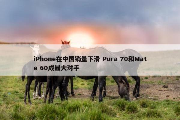 iPhone在中国销量下滑 Pura 70和Mate 60成最大对手