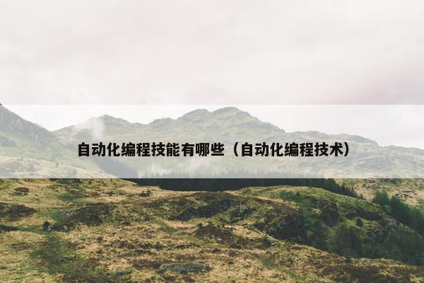 自动化编程技能有哪些（自动化编程技术）