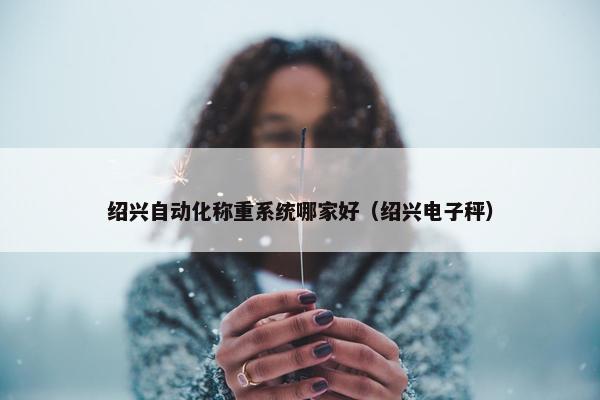 绍兴自动化称重系统哪家好（绍兴电子秤）