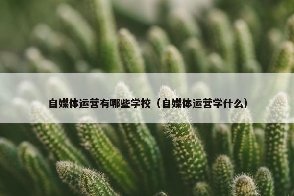 自媒体运营有哪些学校（自媒体运营学什么）