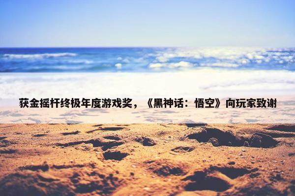 获金摇杆终极年度游戏奖，《黑神话：悟空》向玩家致谢