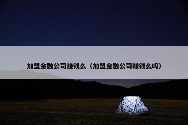 加盟金融公司赚钱么（加盟金融公司赚钱么吗）