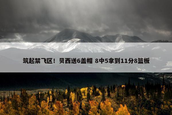 筑起禁飞区！贝西送6盖帽 8中5拿到11分8篮板