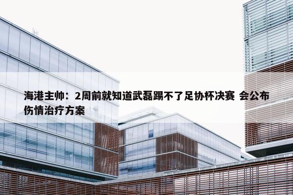 海港主帅：2周前就知道武磊踢不了足协杯决赛 会公布伤情治疗方案