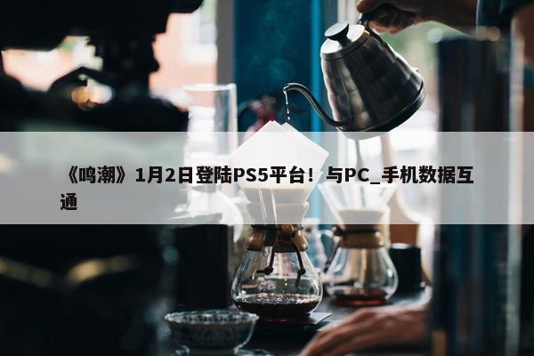 《鸣潮》1月2日登陆PS5平台！与PC_手机数据互通