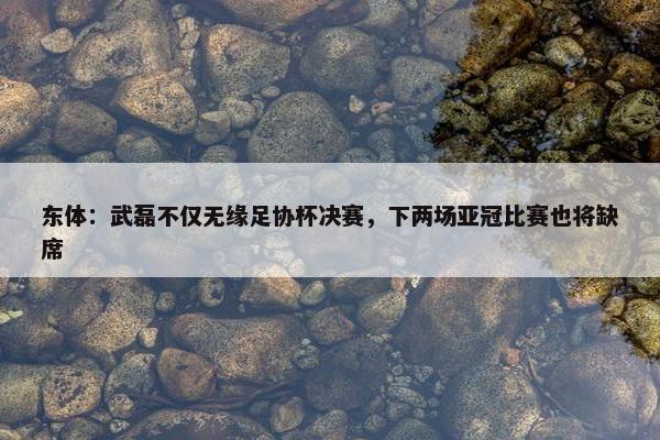 东体：武磊不仅无缘足协杯决赛，下两场亚冠比赛也将缺席