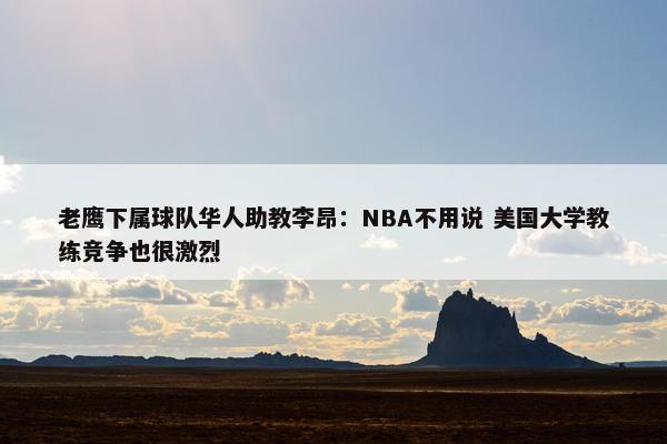 老鹰下属球队华人助教李昂：NBA不用说 美国大学教练竞争也很激烈