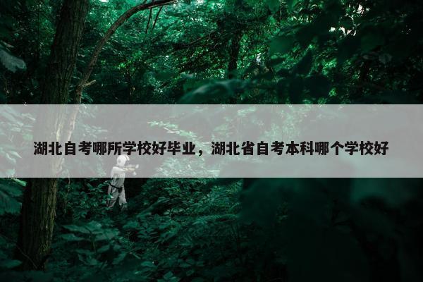 湖北自考哪所学校好毕业，湖北省自考本科哪个学校好