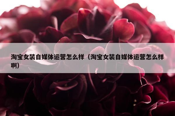 淘宝女装自媒体运营怎么样（淘宝女装自媒体运营怎么样啊）