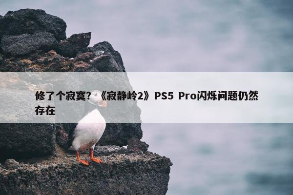 修了个寂寞？《寂静岭2》PS5 Pro闪烁问题仍然存在