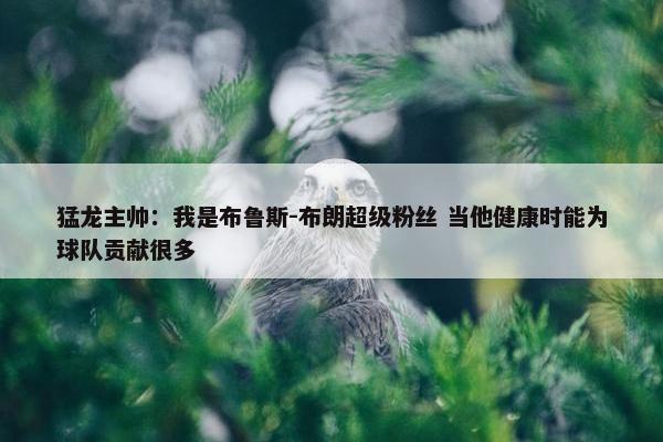 猛龙主帅：我是布鲁斯-布朗超级粉丝 当他健康时能为球队贡献很多