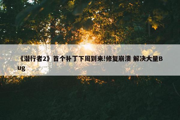 《潜行者2》首个补丁下周到来!修复崩溃 解决大量Bug