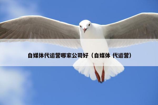 自媒体代运营哪家公司好（自媒体 代运营）