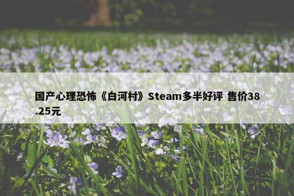 国产心理恐怖《白河村》Steam多半好评 售价38.25元