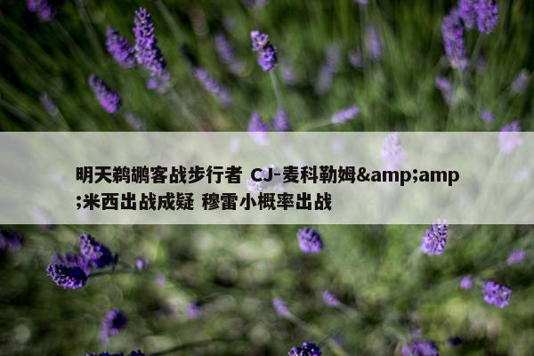 明天鹈鹕客战步行者 CJ-麦科勒姆&amp;米西出战成疑 穆雷小概率出战