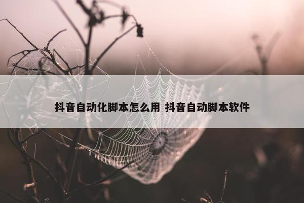 抖音自动化脚本怎么用 抖音自动脚本软件