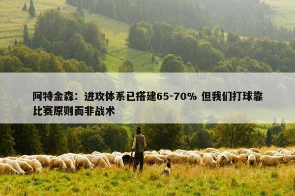 阿特金森：进攻体系已搭建65-70% 但我们打球靠比赛原则而非战术