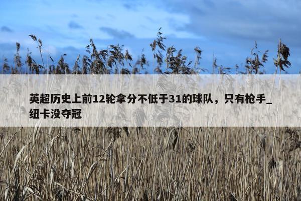 英超历史上前12轮拿分不低于31的球队，只有枪手_纽卡没夺冠