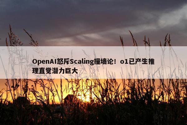 OpenAI怒斥Scaling撞墙论！o1已产生推理直觉潜力巨大