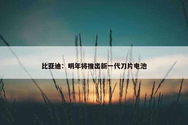 比亚迪：明年将推出新一代刀片电池