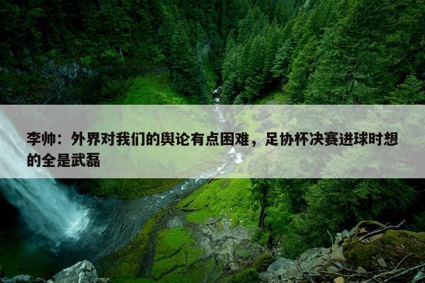 李帅：外界对我们的舆论有点困难，足协杯决赛进球时想的全是武磊