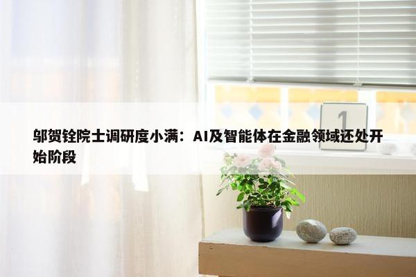 邬贺铨院士调研度小满：AI及智能体在金融领域还处开始阶段