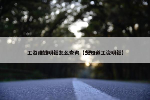 工资赚钱明细怎么查询（想知道工资明细）