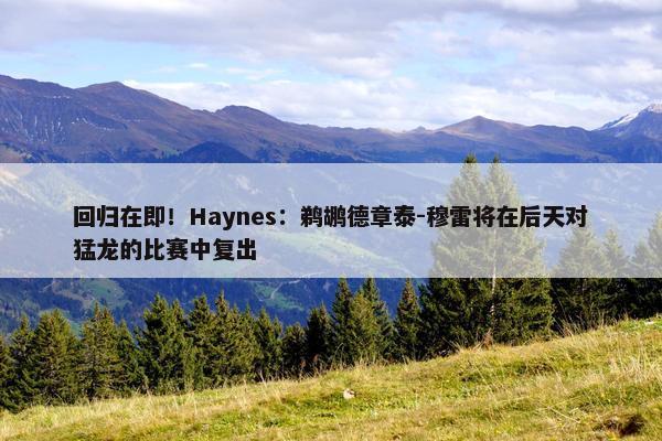 回归在即！Haynes：鹈鹕德章泰-穆雷将在后天对猛龙的比赛中复出