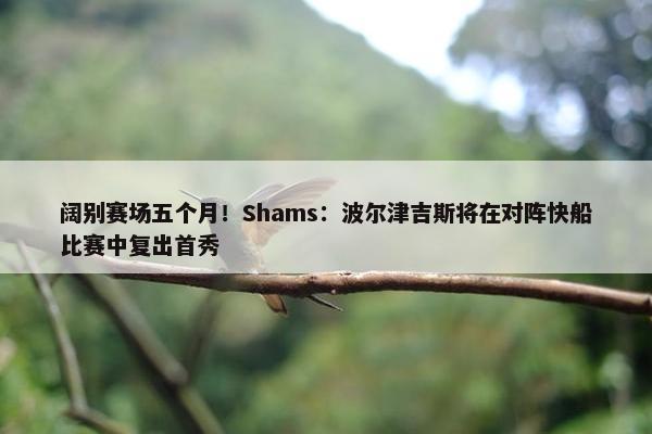 阔别赛场五个月！Shams：波尔津吉斯将在对阵快船比赛中复出首秀