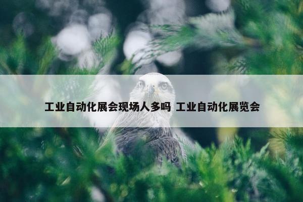 工业自动化展会现场人多吗 工业自动化展览会