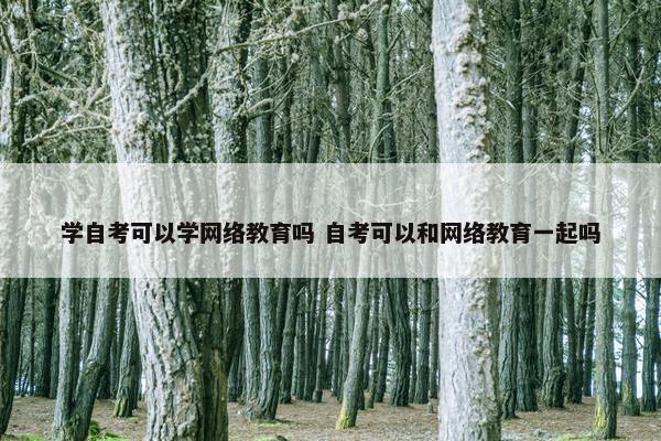 学自考可以学网络教育吗 自考可以和网络教育一起吗