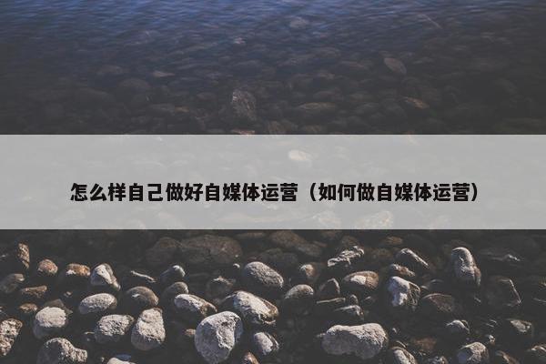 怎么样自己做好自媒体运营（如何做自媒体运营）