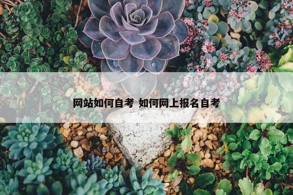 网站如何自考 如何网上报名自考