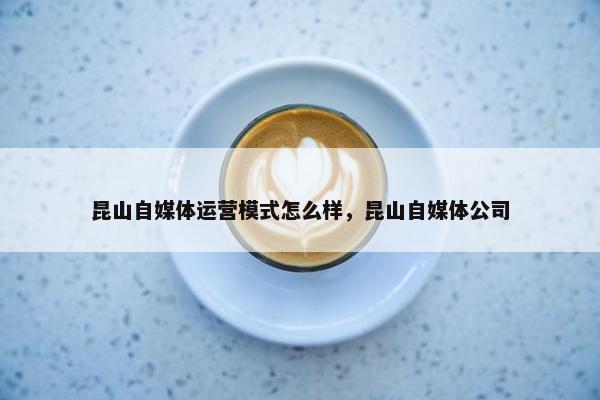 昆山自媒体运营模式怎么样，昆山自媒体公司