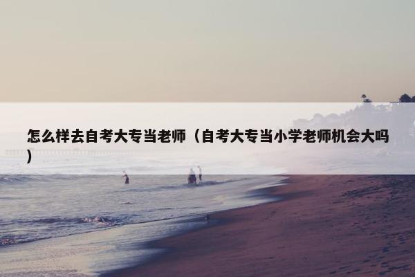 怎么样去自考大专当老师（自考大专当小学老师机会大吗）