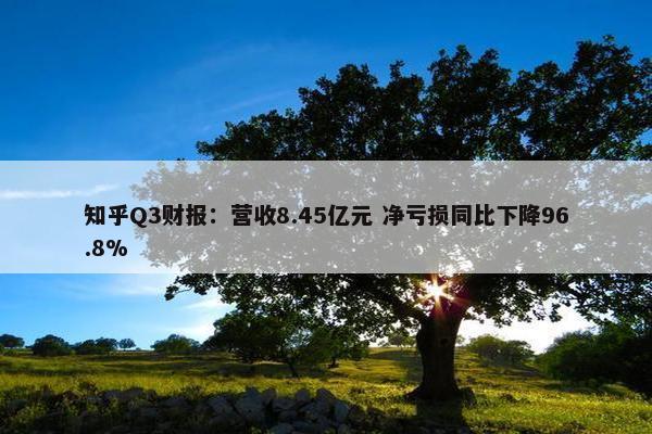 知乎Q3财报：营收8.45亿元 净亏损同比下降96.8%