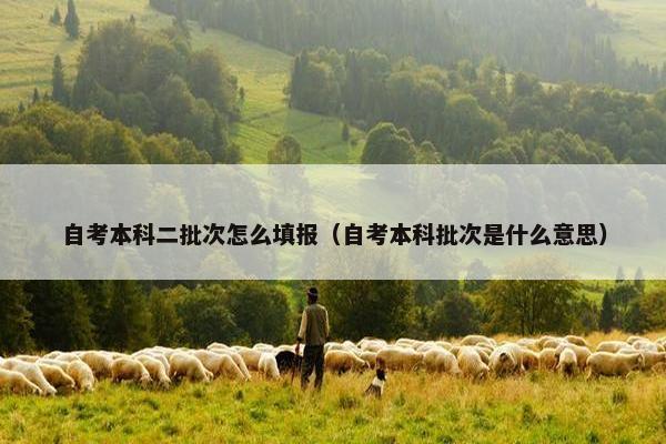 自考本科二批次怎么填报（自考本科批次是什么意思）