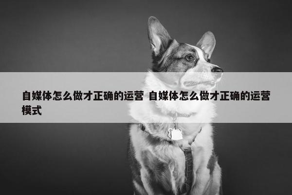 自媒体怎么做才正确的运营 自媒体怎么做才正确的运营模式