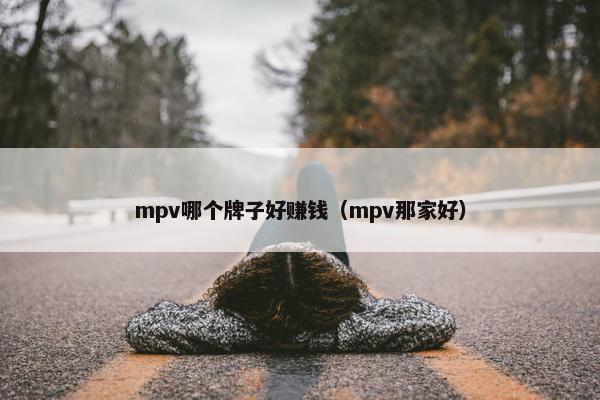 mpv哪个牌子好赚钱（mpv那家好）