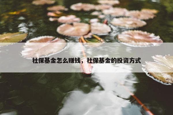 社保基金怎么赚钱，社保基金的投资方式