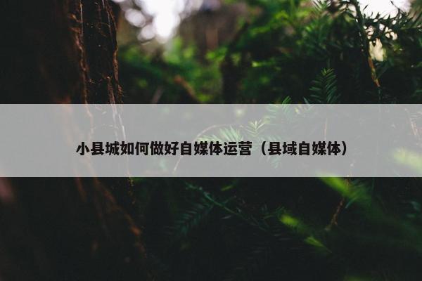 小县城如何做好自媒体运营（县域自媒体）