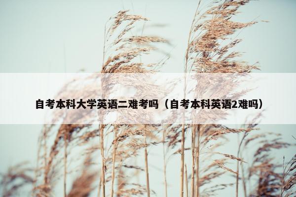 自考本科大学英语二难考吗（自考本科英语2难吗）