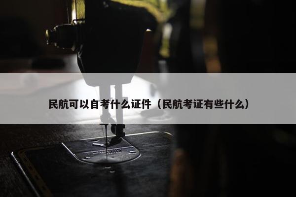 民航可以自考什么证件（民航考证有些什么）