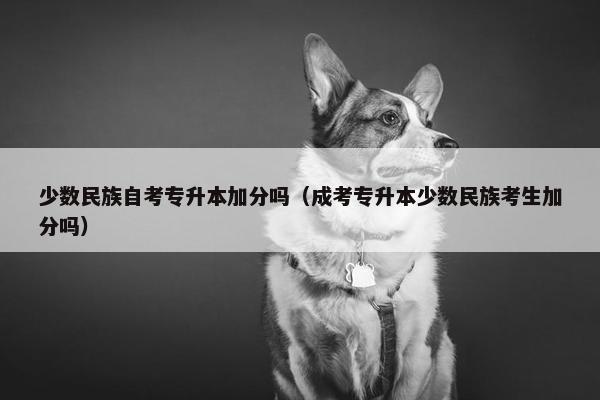 少数民族自考专升本加分吗（成考专升本少数民族考生加分吗）