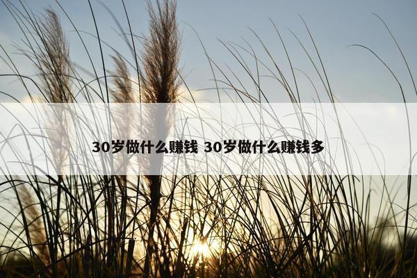 30岁做什么赚钱 30岁做什么赚钱多