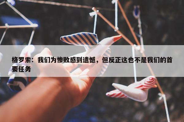 格罗索：我们为惨败感到遗憾，但反正这也不是我们的首要任务