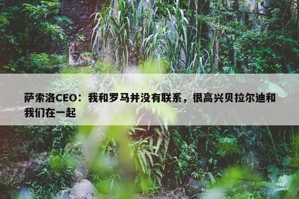 萨索洛CEO：我和罗马并没有联系，很高兴贝拉尔迪和我们在一起