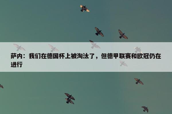 萨内：我们在德国杯上被淘汰了，但德甲联赛和欧冠仍在进行